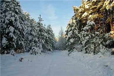 《死亡之屋：重制版》宣布跳票 将于2022年春季发售