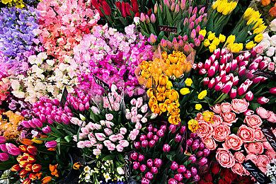 《第一狂战士：卡赞》将发布新试玩版 PC与主机体验